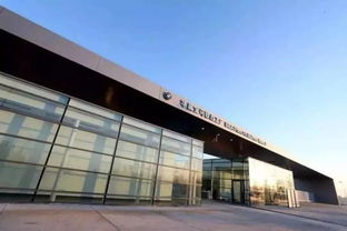 長城寶馬是假,長城mini才是真的 不建新網的表態能讓華晨放心嗎