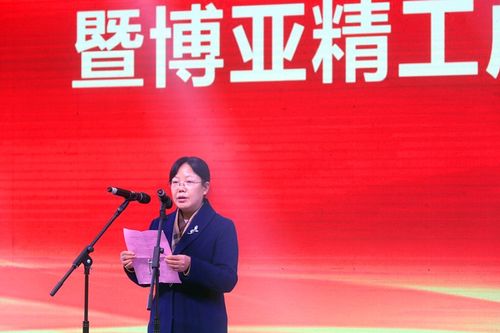 襄陽博亞精工裝備股份舉行精密裝備智能化項(xiàng)目開工暨博亞精工成立二十周年慶典